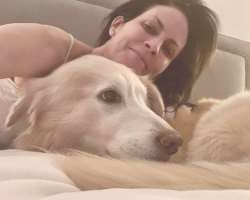 She has reared a pet dog named Brody.